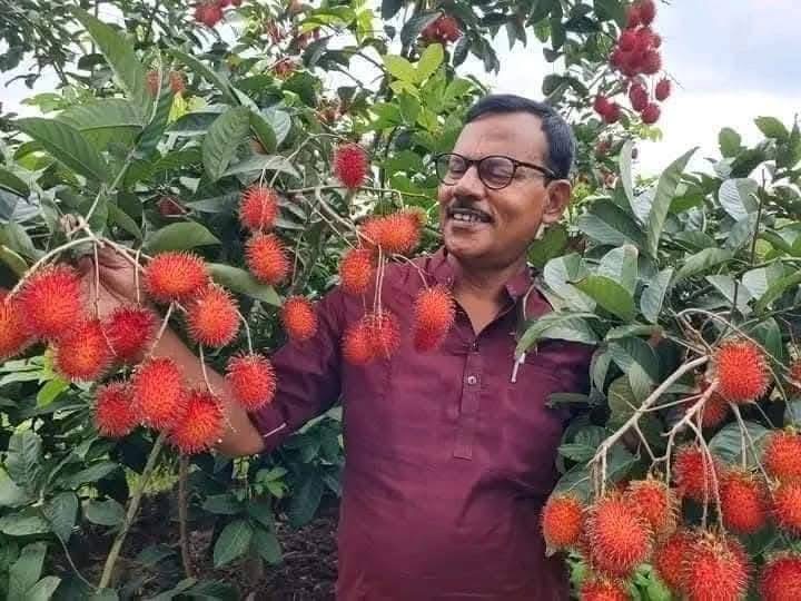 রাম্বুটান